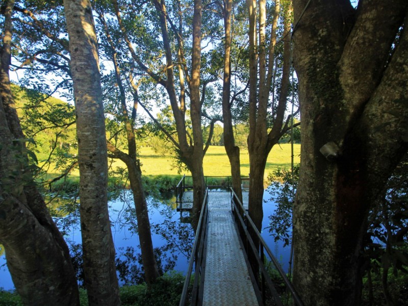 137 Friday Hut Road, Tintenbar NSW 2478