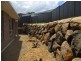 30 Calnan Crescent, Cumbalum NSW 2478