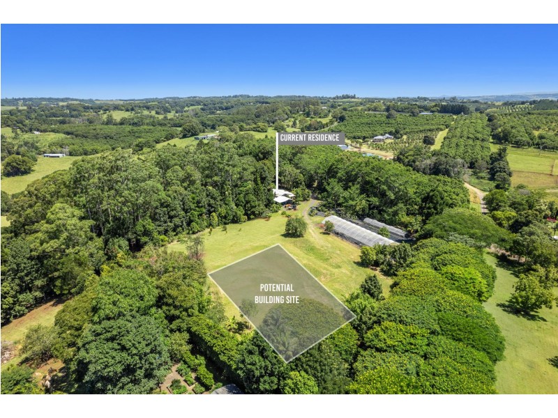 407 Humpty Back Road, Pearces Creek NSW 2477