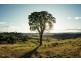 Northridge, Goonellabah NSW 2480