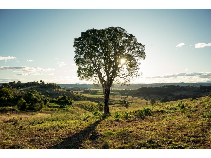 Northridge, Goonellabah NSW 2480