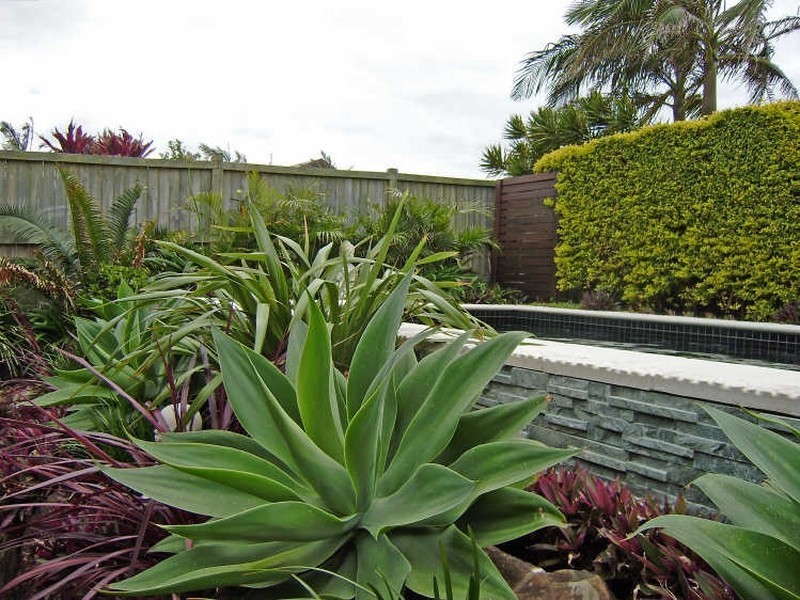 64 Killarney Crescent, Skennars Head NSW 2478
