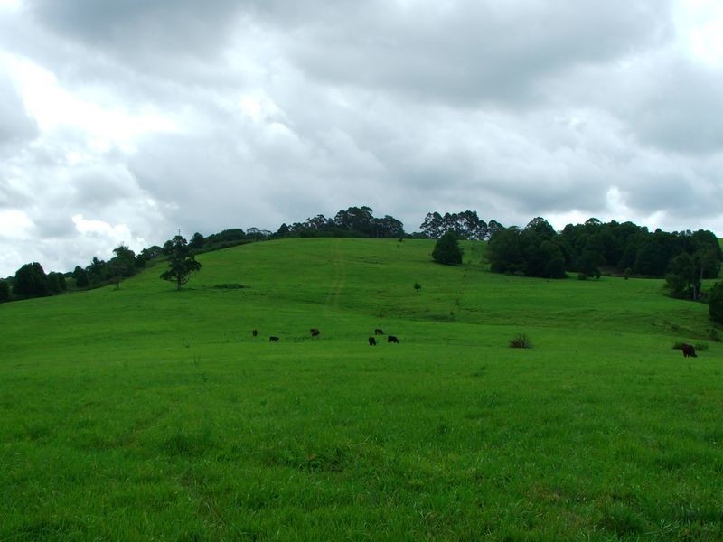 Alstonville NSW 2477