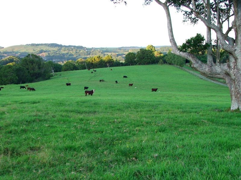 Alstonville NSW 2477