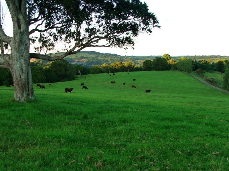 Alstonville NSW 2477