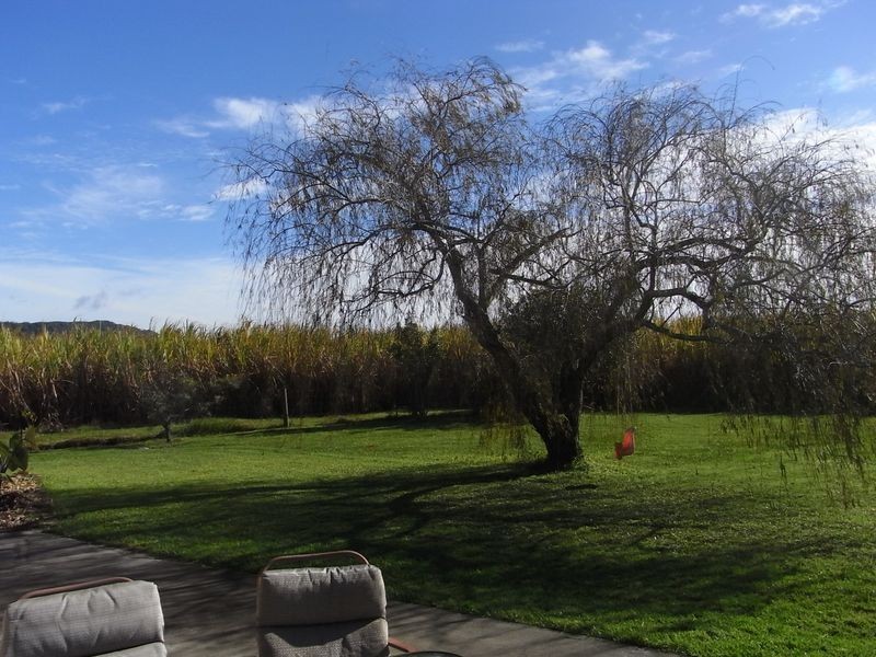 77 Riverbank Road, Pimlico NSW 2478