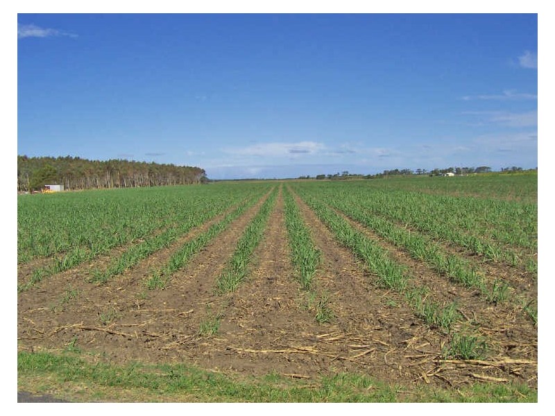 Empire Vale NSW 2478