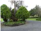 252 Pimlico Road, Pimlico NSW 2478