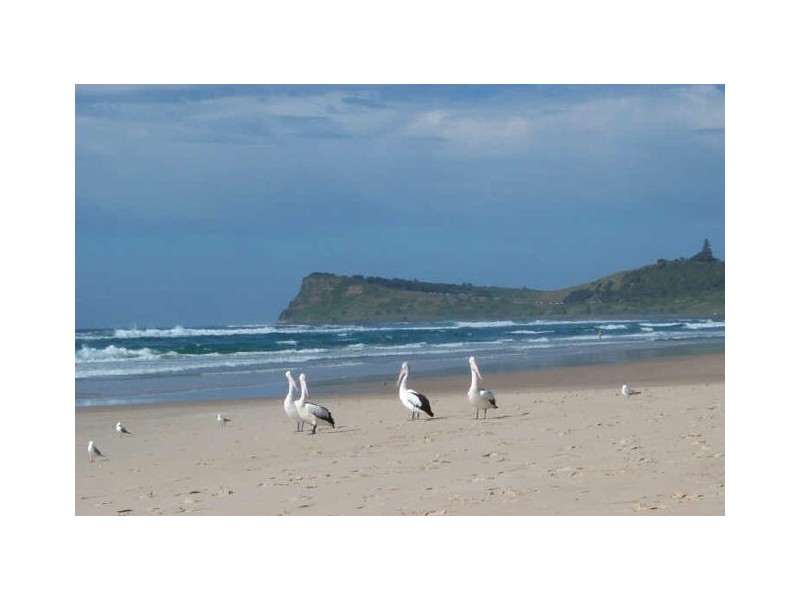 6 Rutherford Street, Lennox Head NSW 2478