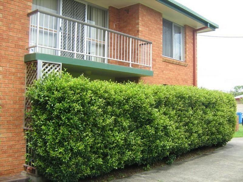 1/15 Jarrett Street, Ballina NSW 2478