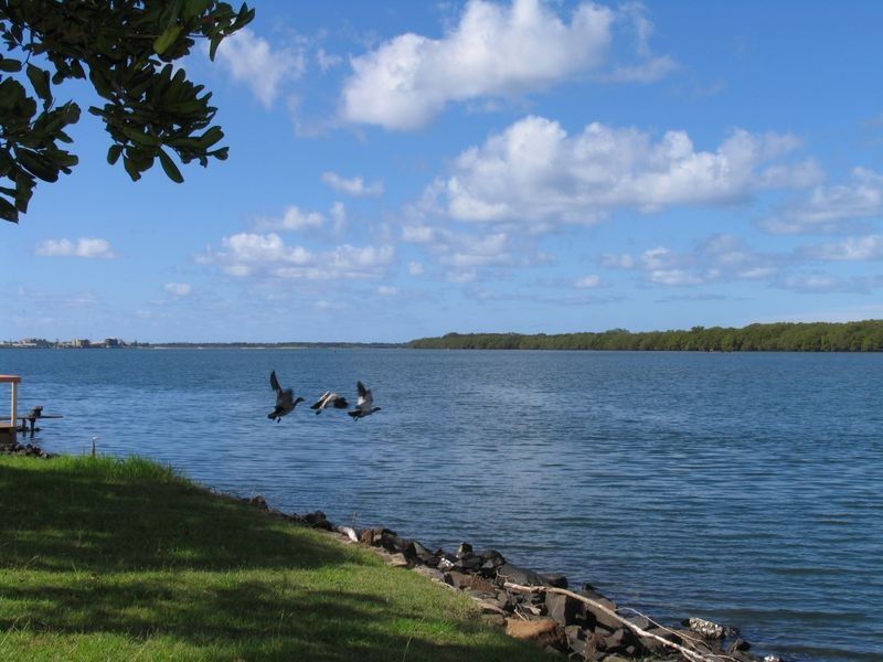 99 Riverside Drive, Ballina NSW 2478