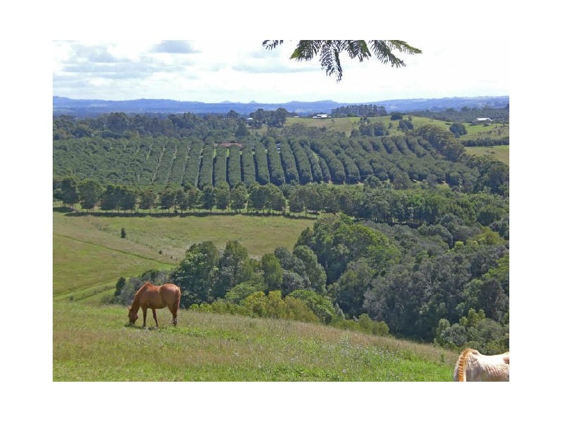 Alstonville NSW 2477