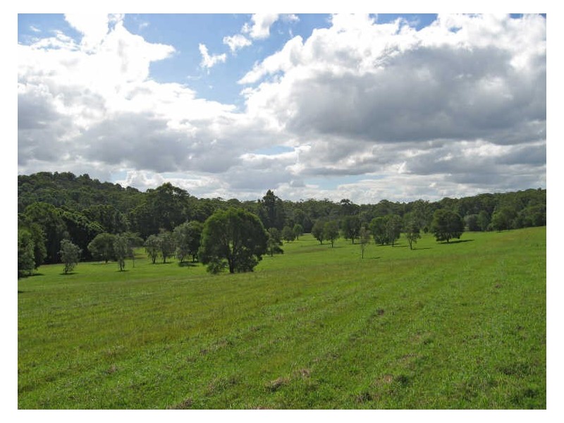 771 Bagotville Road, Meerschaum Vale NSW 2477