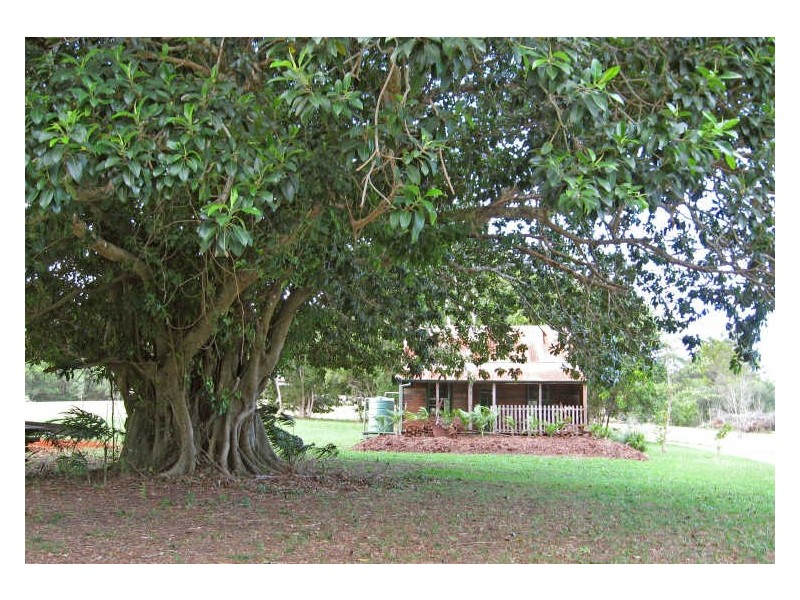 771 Bagotville Road, Meerschaum Vale NSW 2477