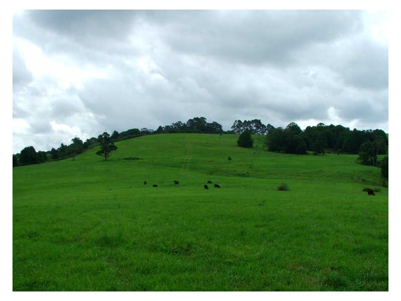 Alstonville NSW 2477