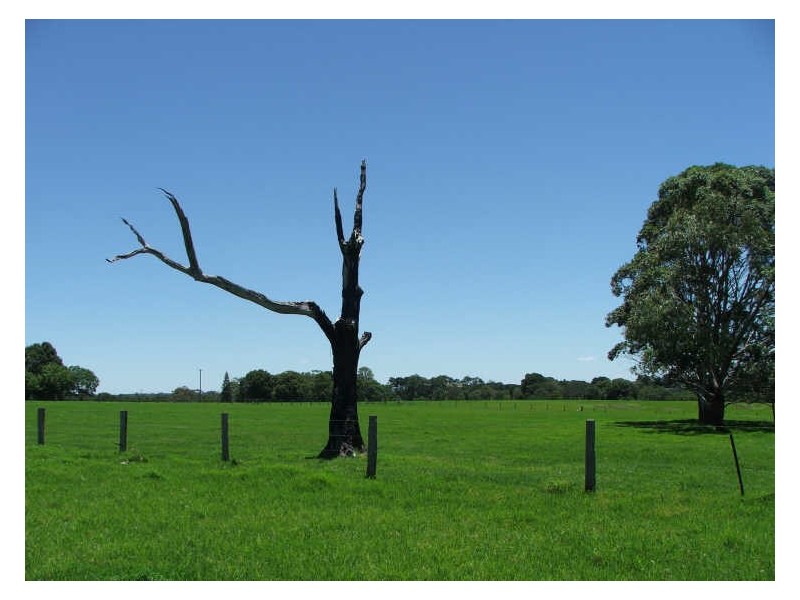 Alstonville NSW 2477