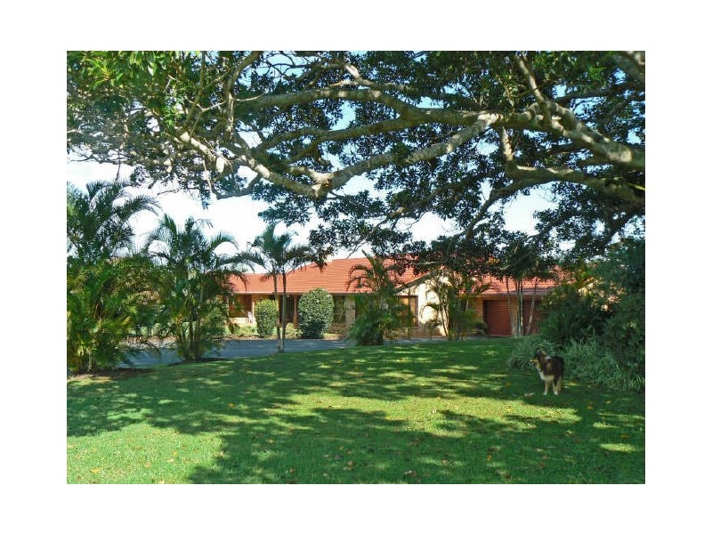 Mcleans Ridges NSW 2480