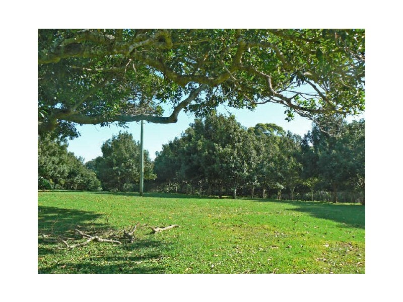 Mcleans Ridges NSW 2480