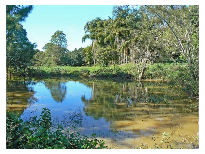 Alstonville NSW 2477