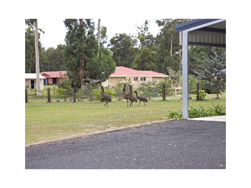 3 Blue Wren Close, Gulmarrad NSW 2463