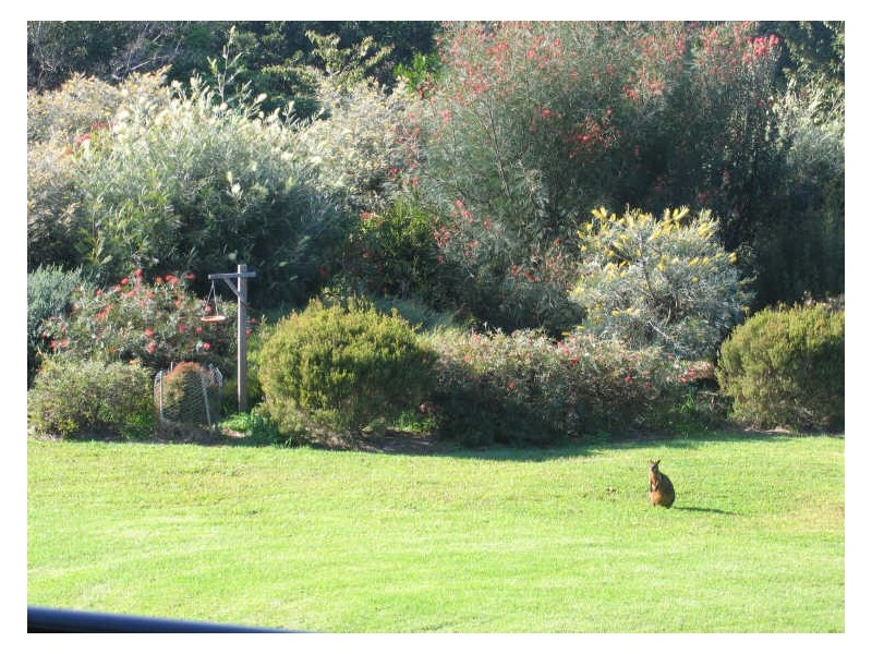26 Eden Valley Drive, Alstonville NSW 2477