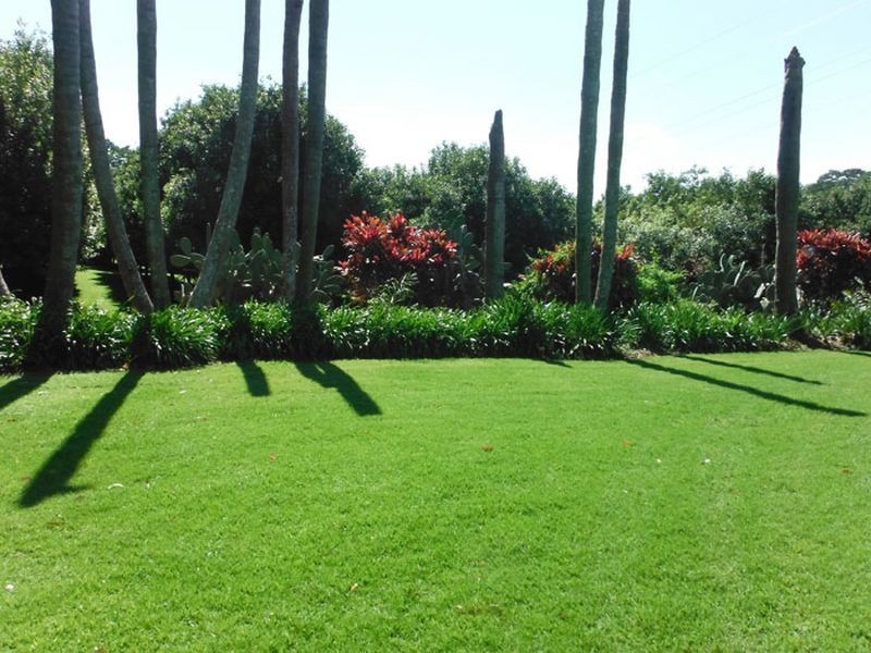 209 Wardell Road, Alstonville NSW 2477