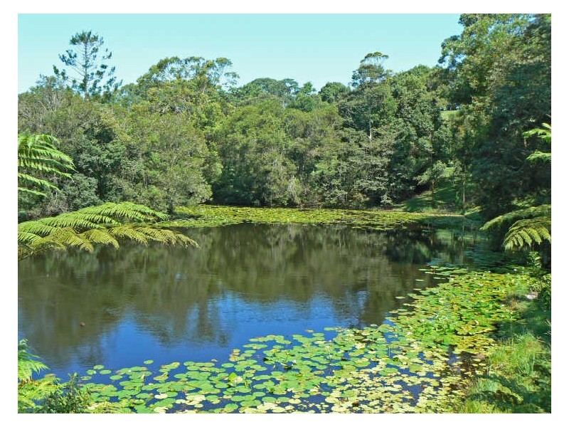 Alstonville NSW 2477