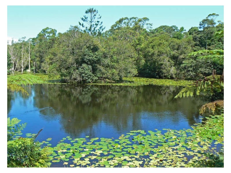 Alstonville NSW 2477