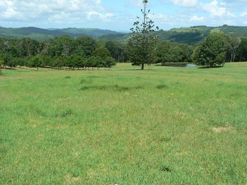 Alstonville NSW 2477