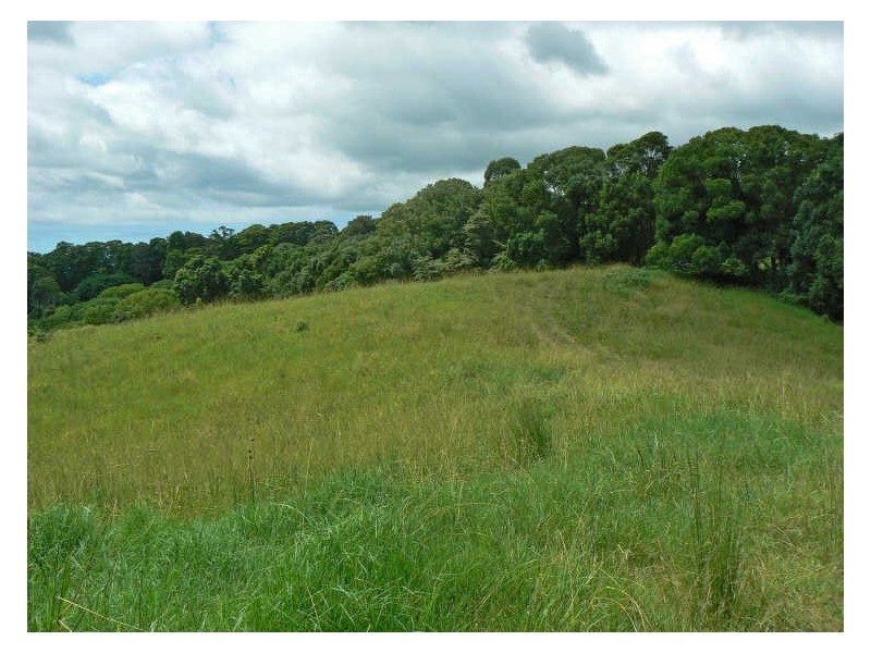 Alstonville NSW 2477