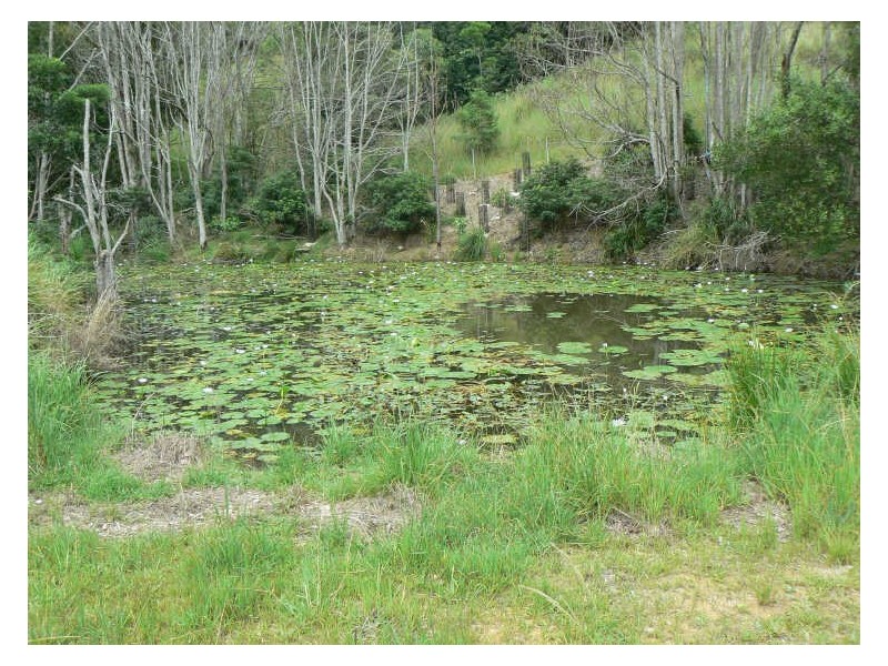 Alstonville NSW 2477