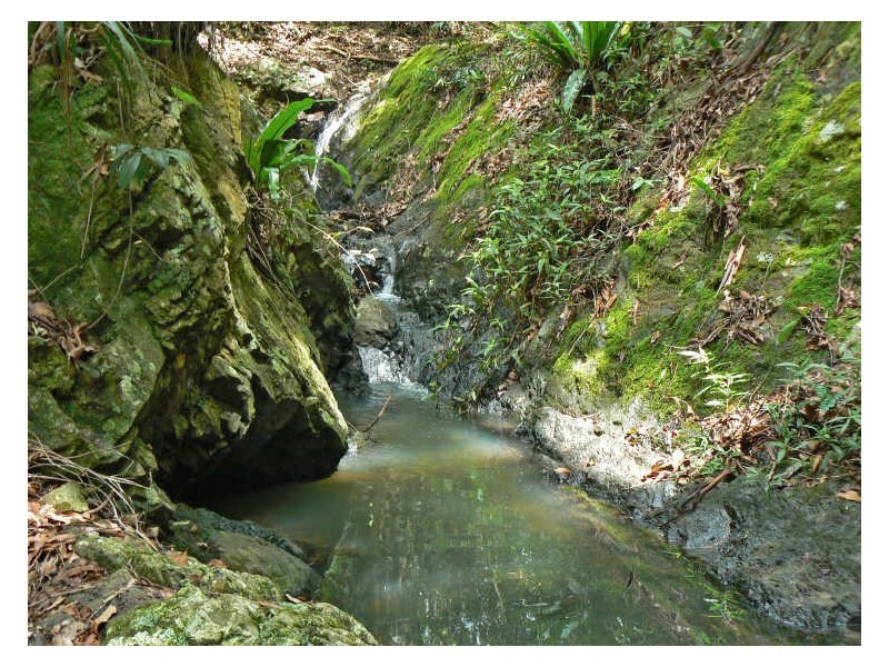 Alstonville NSW 2477