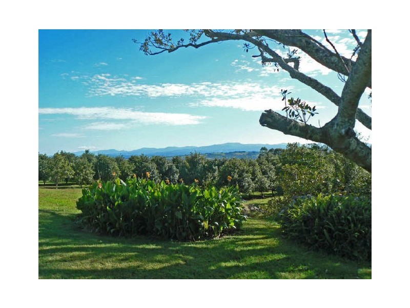 524 Cowlong Road, Mcleans Ridges NSW 2480