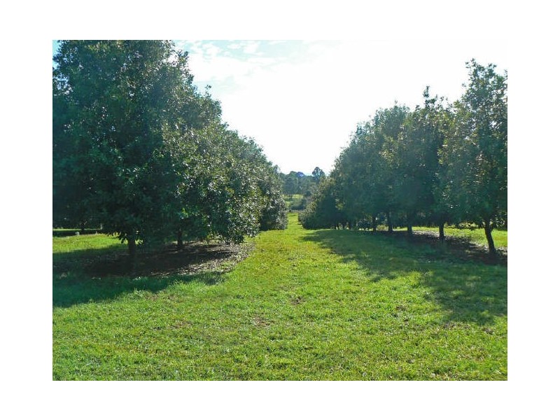 524 Cowlong Road, Mcleans Ridges NSW 2480
