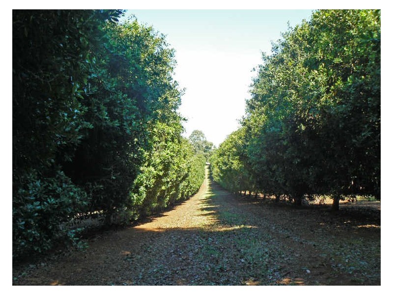 Alstonville NSW 2477