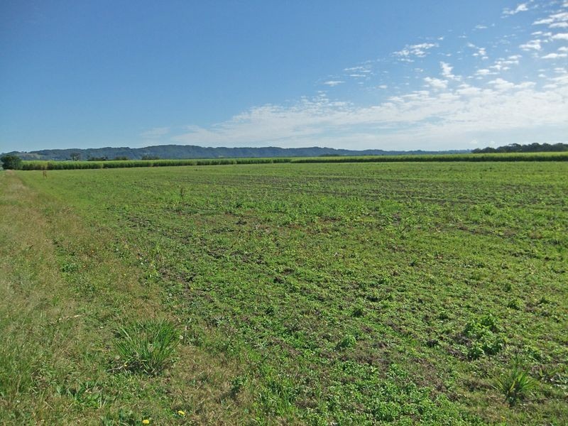 Lot 20 Moylans Lane, Empire Vale NSW 2478