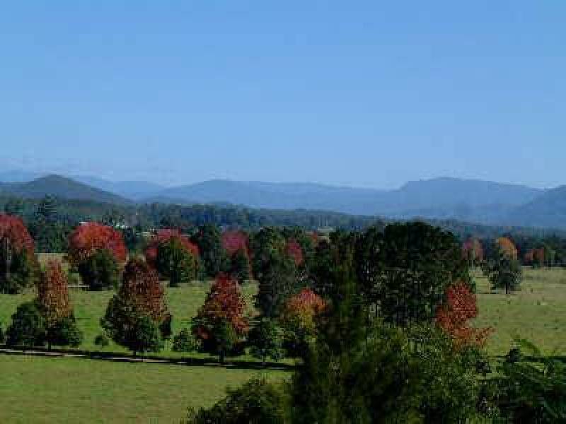 11 Hobson Close, Bellingen NSW 2454