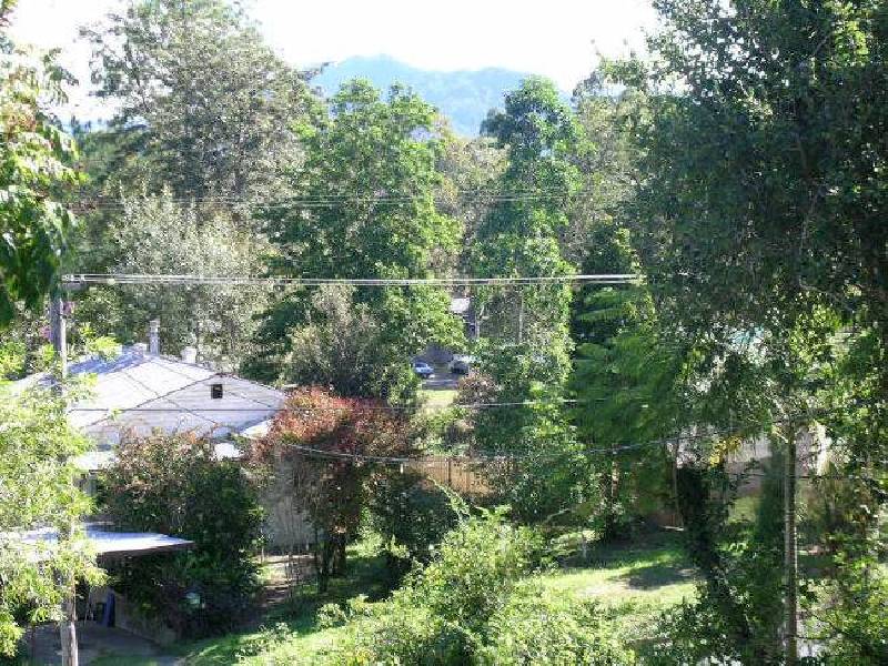 19 Lyon Street, Bellingen NSW 2454