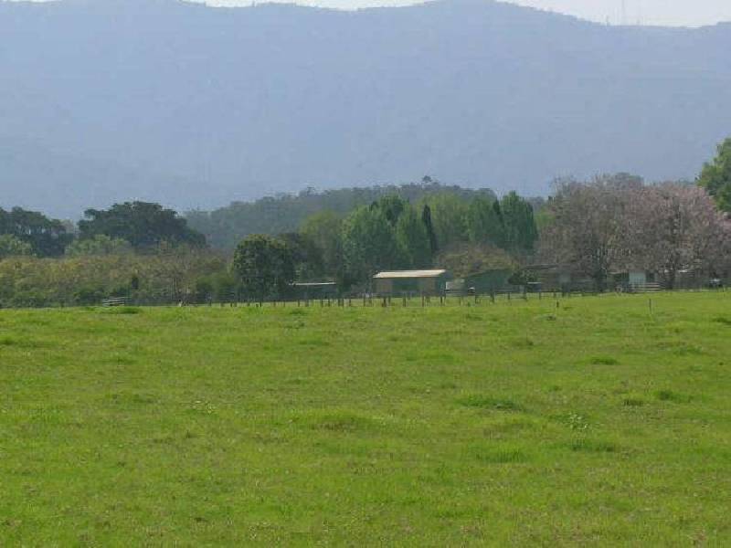 1577 Waterfall Way, Bellingen NSW 2454