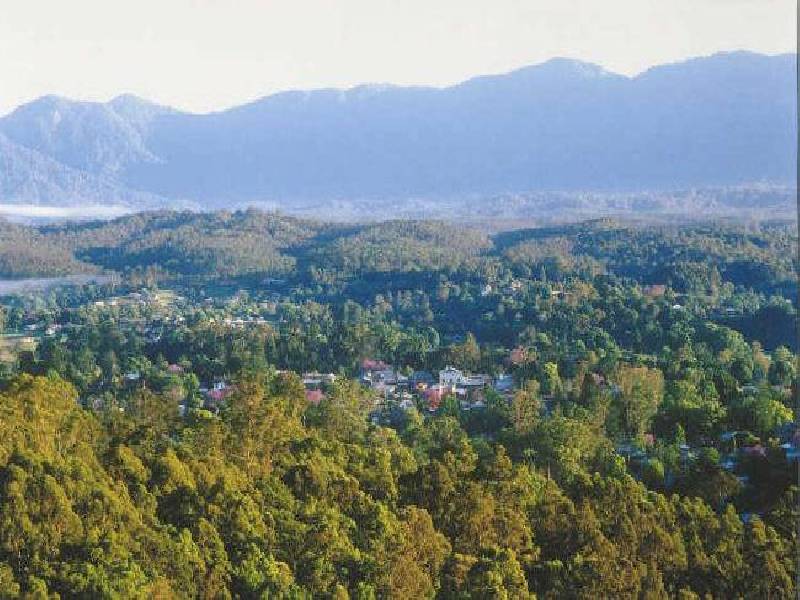 Lot 11 Bowraville  Road, Bellingen NSW 2454