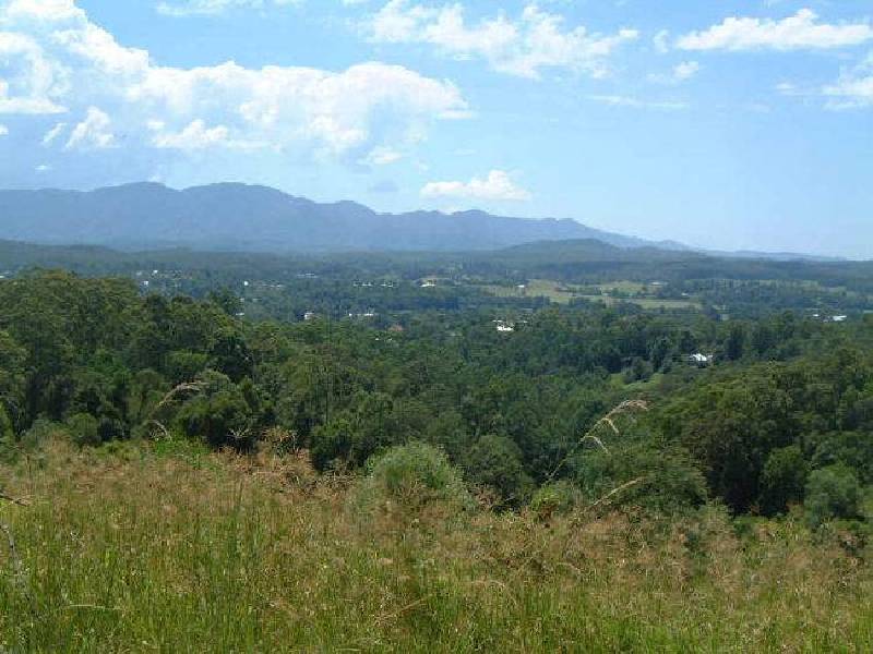 Lot 11 Bowraville  Road, Bellingen NSW 2454