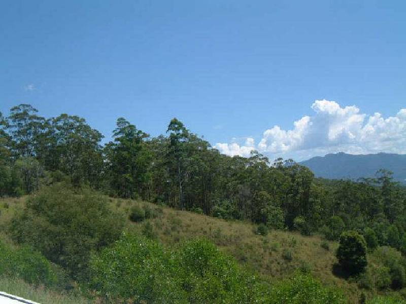Lot 11 Bowraville  Road, Bellingen NSW 2454