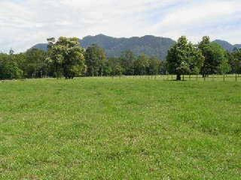 287 Roses Road, Bellingen NSW 2454