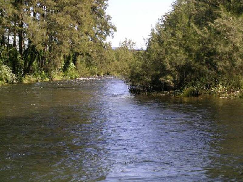 484 Summervilles Road, Thora NSW 2454