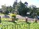 45 Wheatley Street, Bellingen NSW 2454