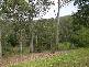 Bellingen NSW 2454