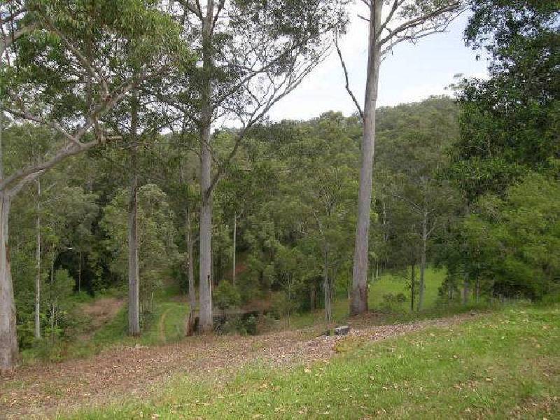 Bellingen NSW 2454