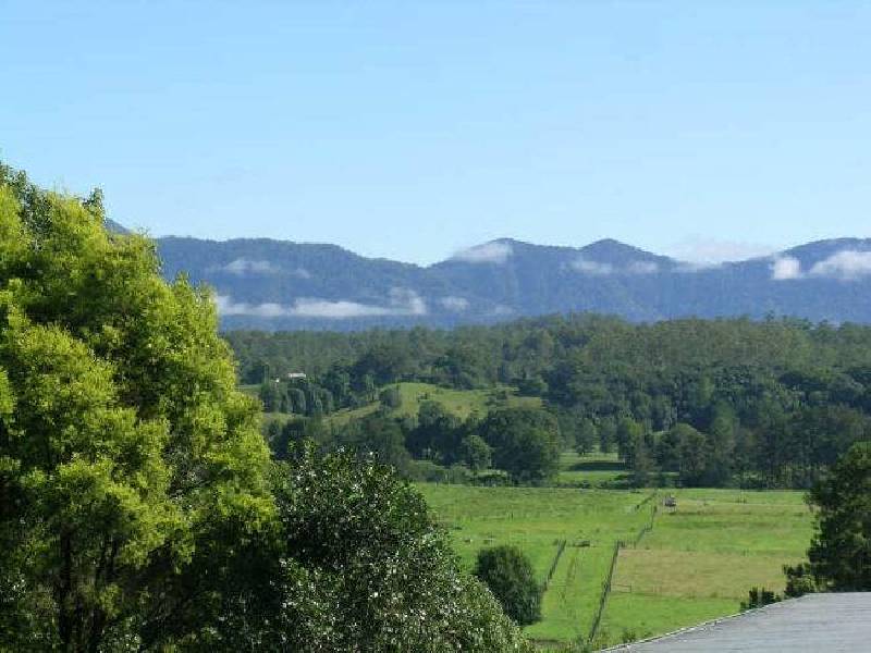 46 Robert Street, Bellingen NSW 2454