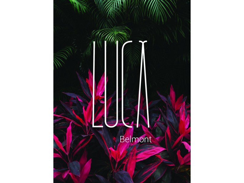 439 – 443 Pacific Highway ‘Luca’, Belmont NSW 2280