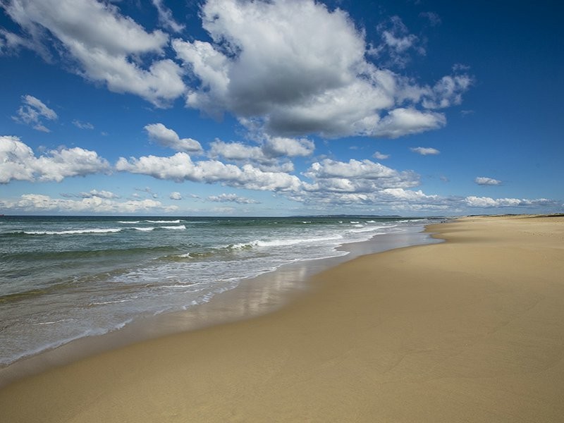 29 Brown Street, Redhead NSW 2290